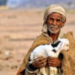 verzorgde reizen naar Egypte