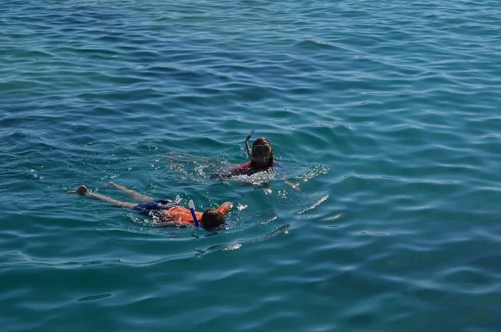 snorkelen Egypte veilig