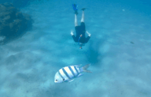 weer Marsa Alam Egypte